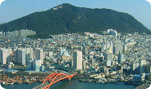 釜山観光ツアー