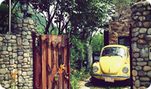 韓流ドラマ・スペシャルツアー